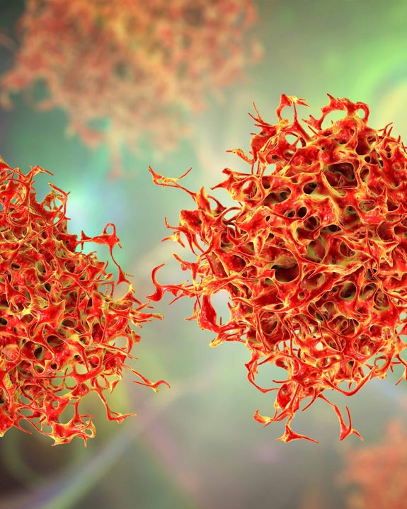 Leading ADC innovation About us Iksuda