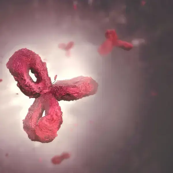Adc Foregraound Background
