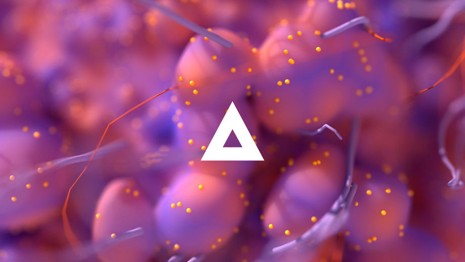 Adobestock 427889993